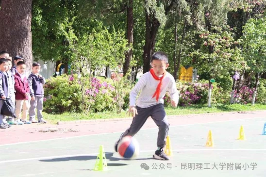 一周篮球训练计划安排怎么写_2
